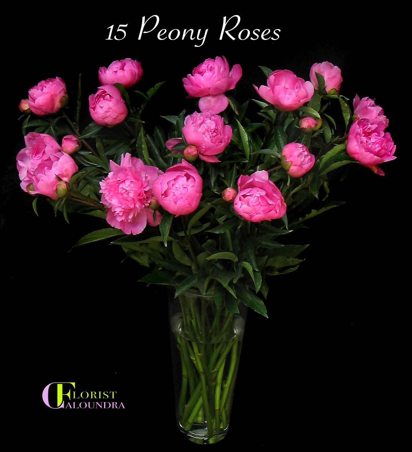 CALOUNDRA FLORIST BULK FLOWERS