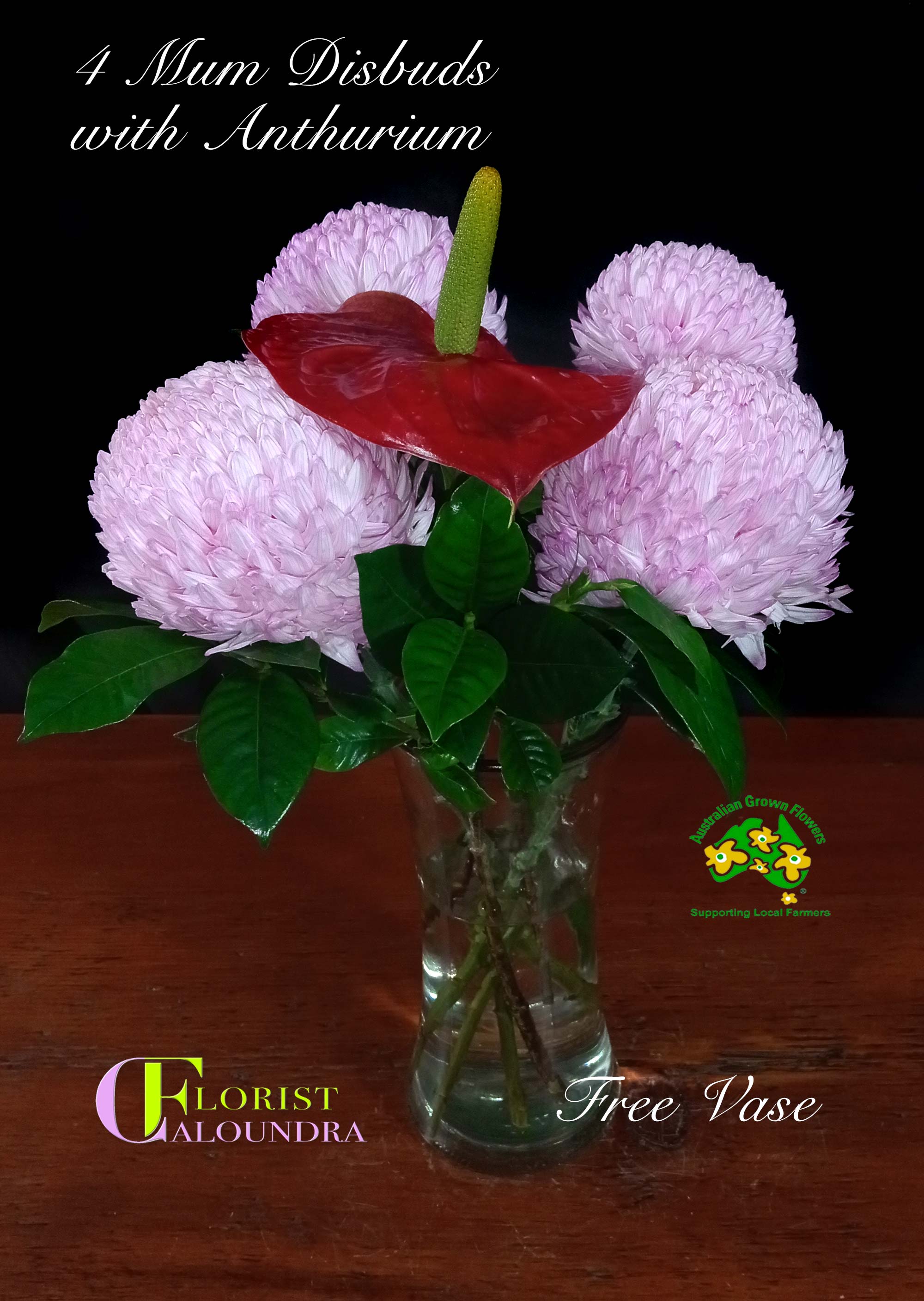 CALOUNDRA FLORIST BULK FLOWERS