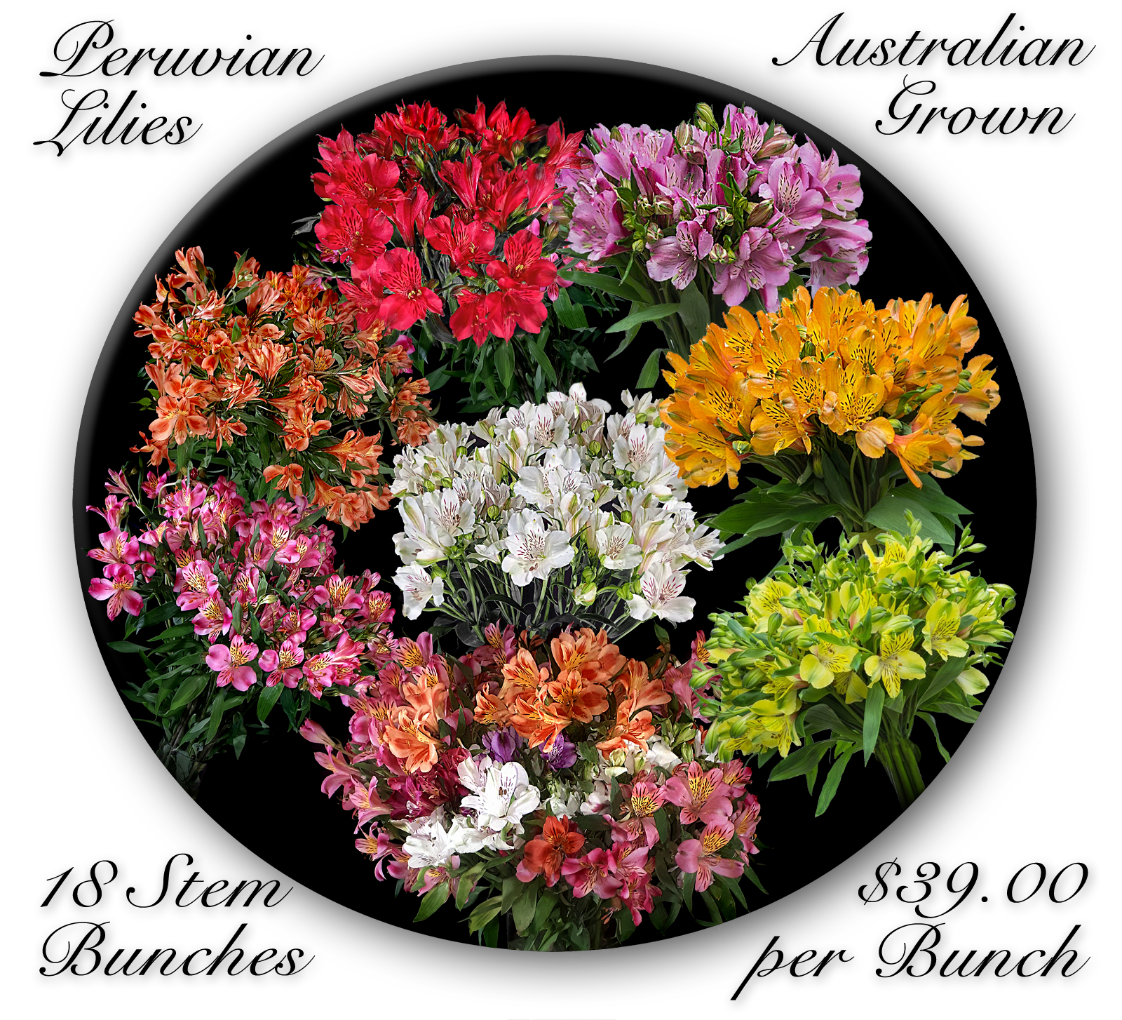 CALOUNDRA FLORIST BULK FLOWERS