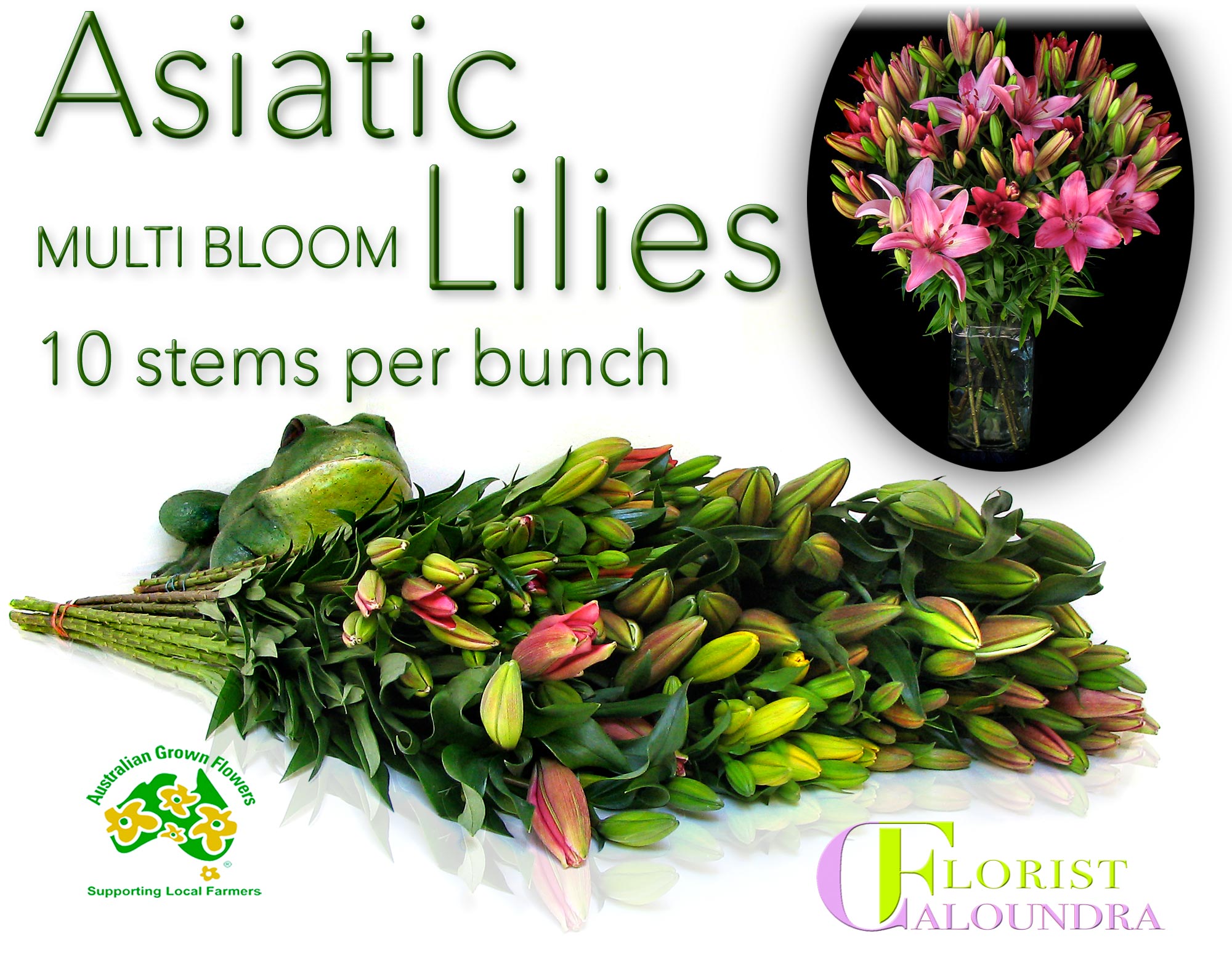 CALOUNDRA FLORIST BULK FLOWERS