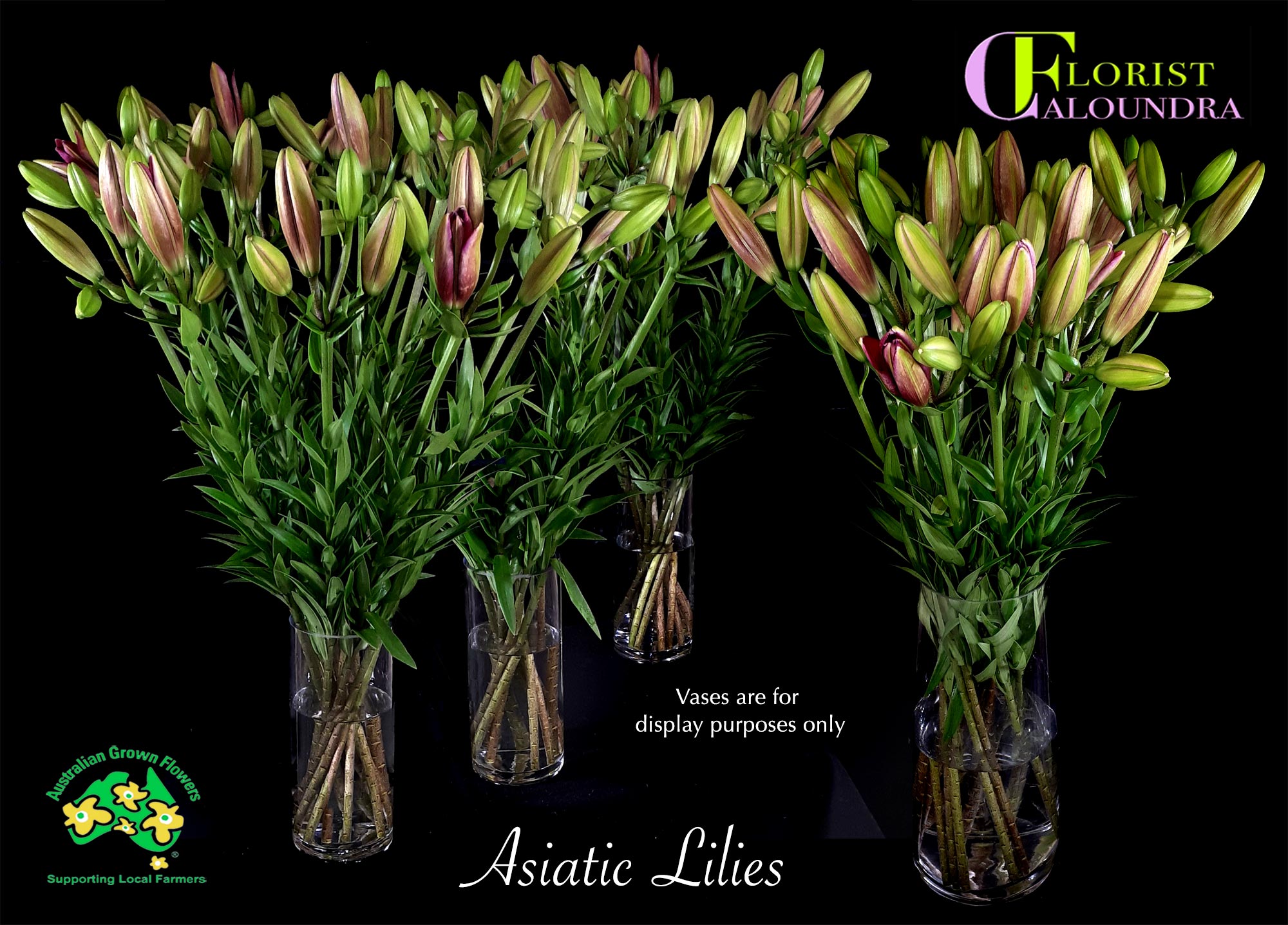 CALOUNDRA FLORIST BULK ASIATIC LILIES
