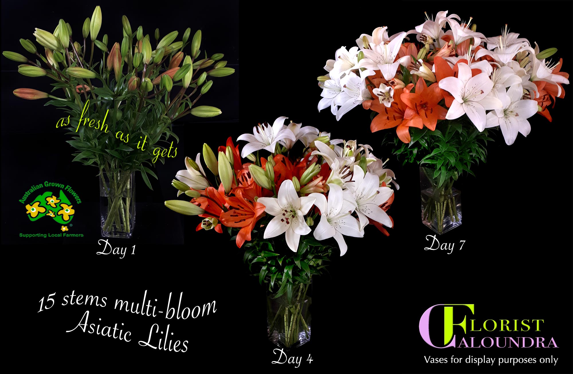 CALOUNDRA FLORIST BULK ASIATIC LILIES