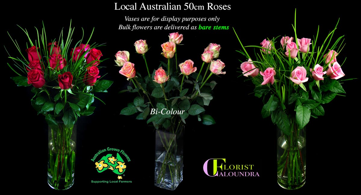 CALOUNDRA FLORIST BULK FLOWERS
