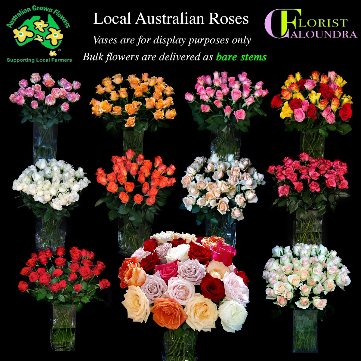CALOUNDRA FLORIST BULK FLOWERS
