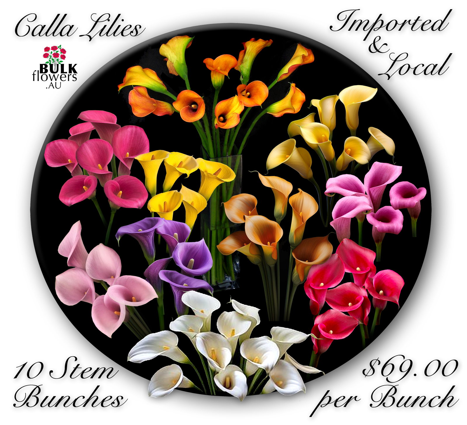 CALLA LILIES