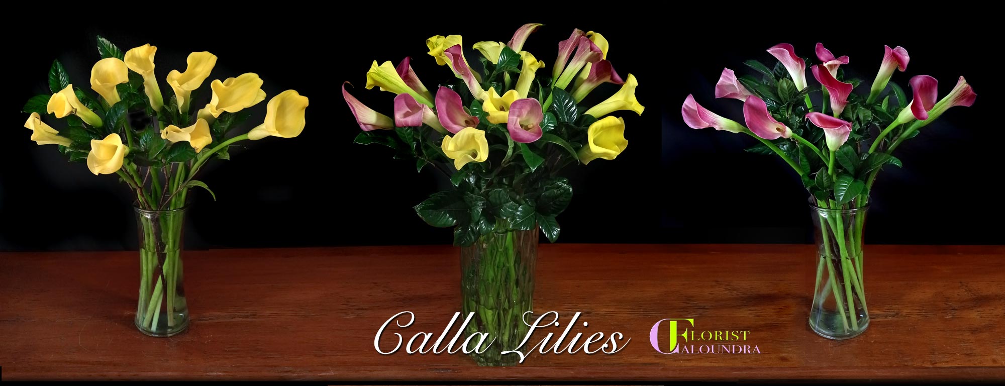 CALLA LILIES CALOUNDRA & SUNSHINE COAST