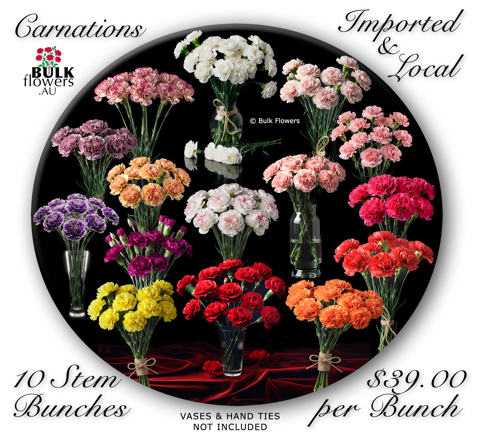 BULK FLOWERS CARNATIONS