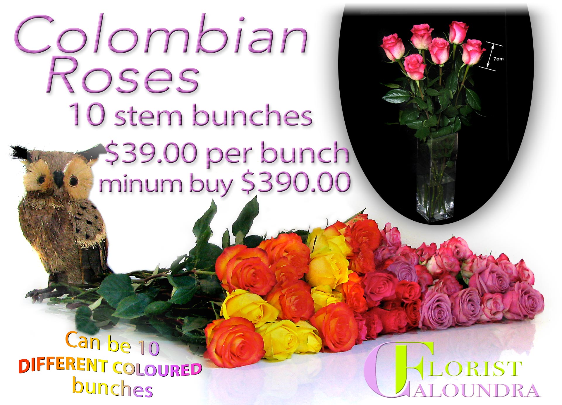CALOUNDRA FLORIST BULK FLOWERS