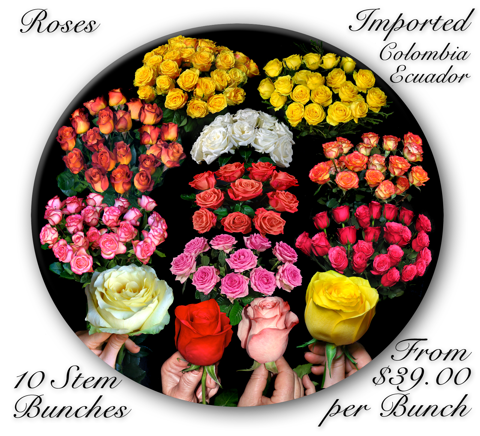 CALOUNDRA FLORIST BULK FLOWERS