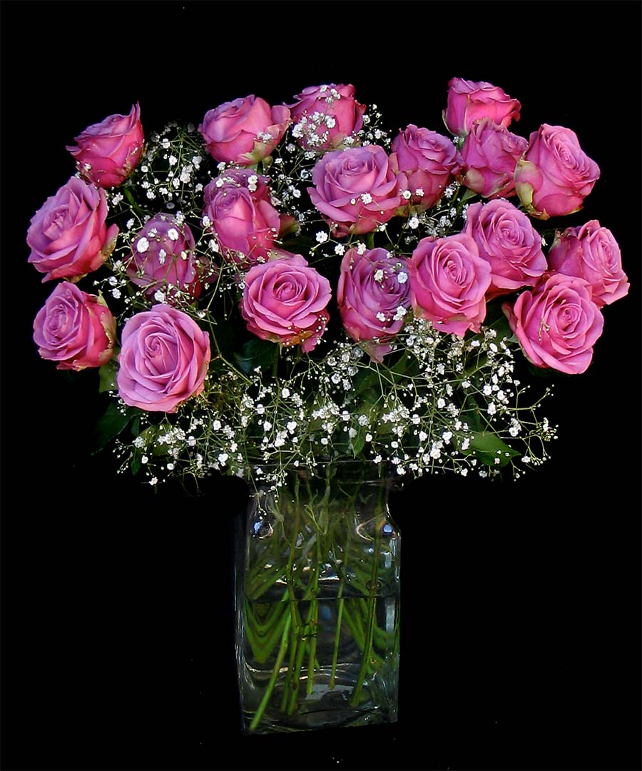 20 COLOMBIAN ROSES