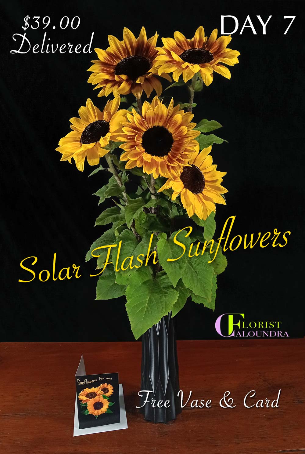 CALOUNDRA FLORIST BULK FLOWERS
