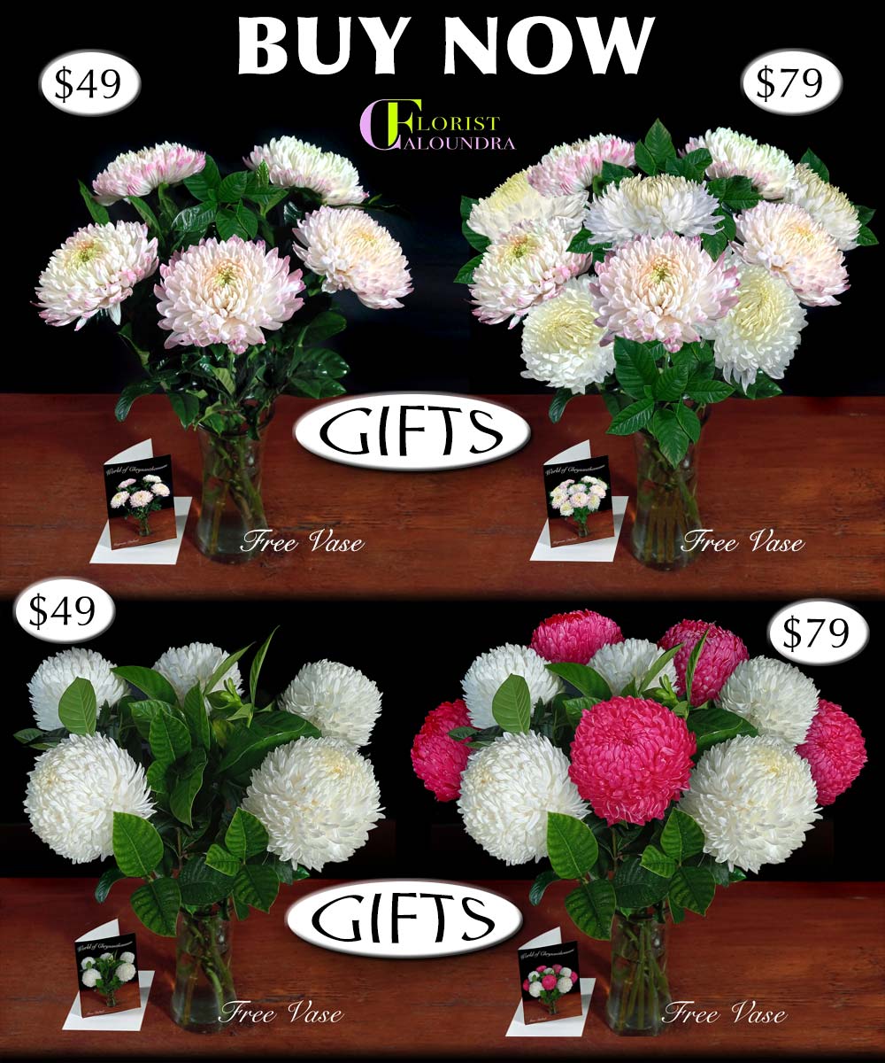CALOUNDRA FLORIST BULK FLOWERS