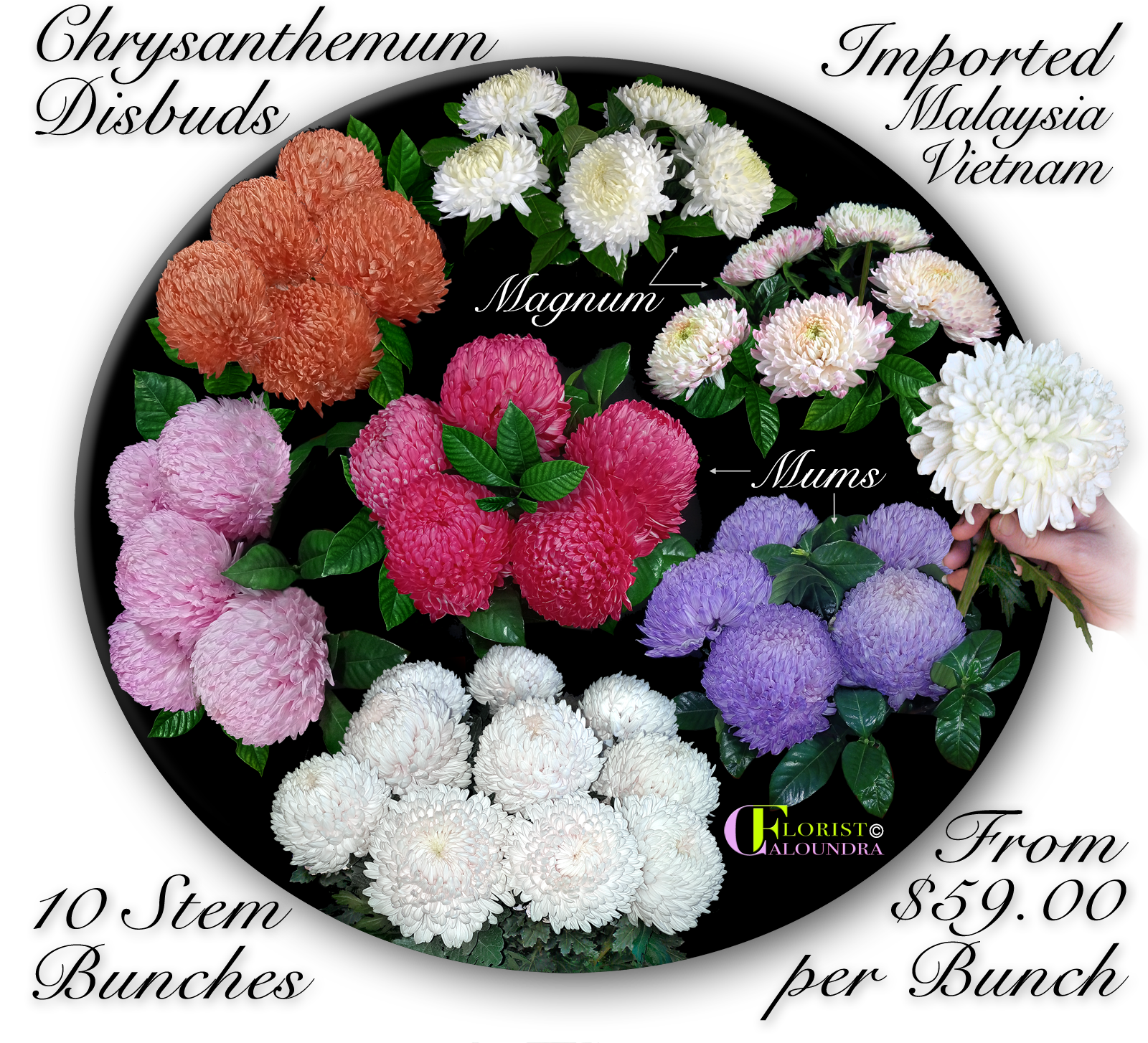 BULK FLOWERS CALOUNDRA & SUNSHINE COAST