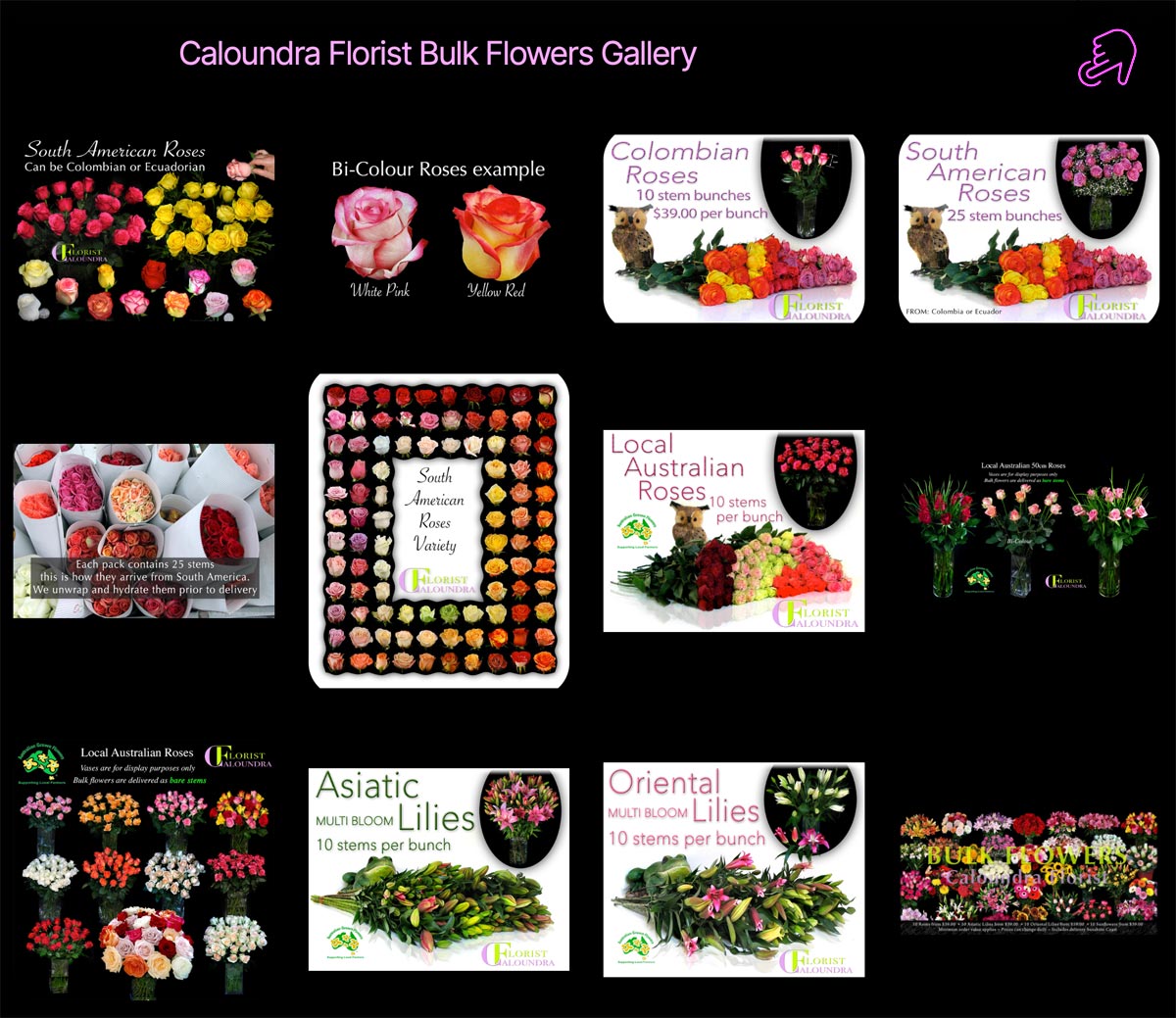 CALOUNDRA FLORIST GALLERY