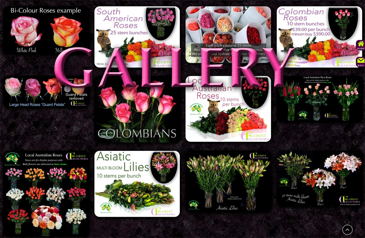 CALOUNDRA FLORIST BULK FLOWERS GALLERY
