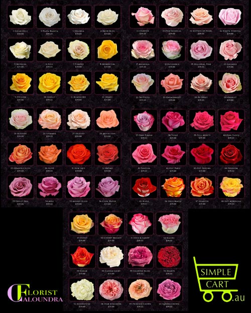 COLOMBIAN ROSES CALOUNDRA FLORIST