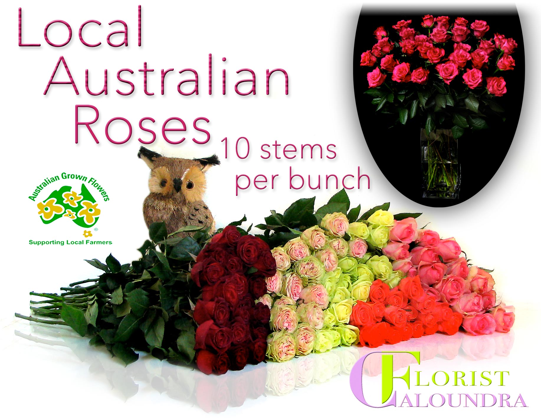 CALOUNDRA FLORIST BULK FLOWERS
