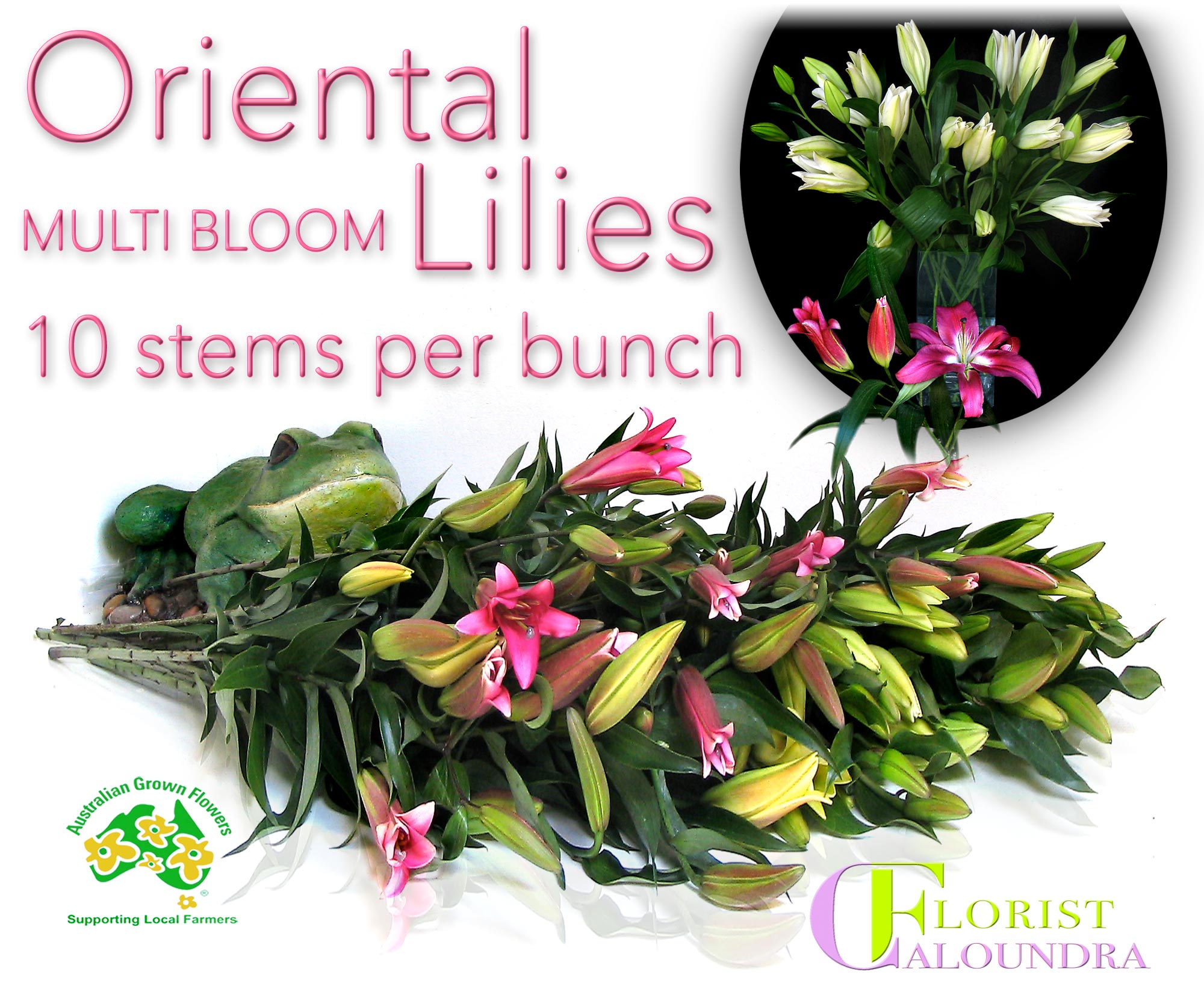 CALOUNDRA FLORIST ORIENTAL LILIES