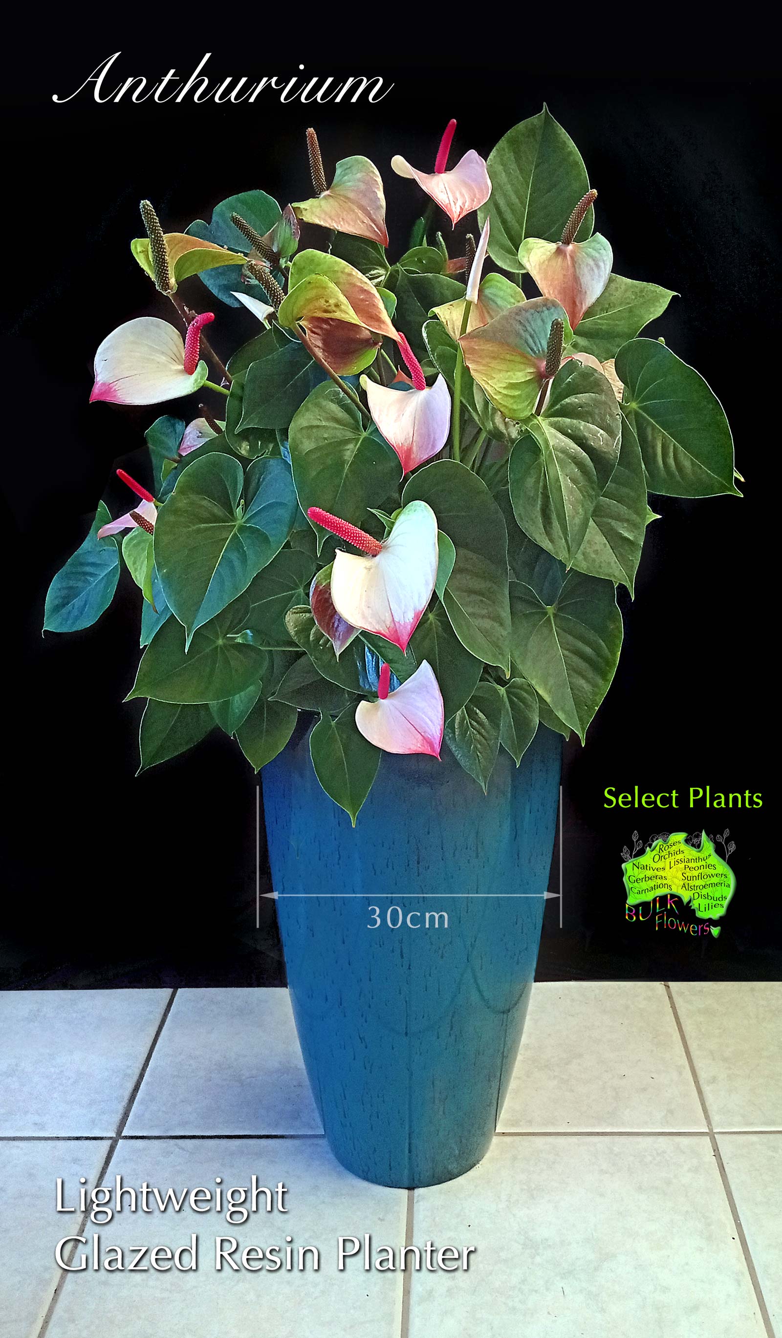 BULK FLOWERS