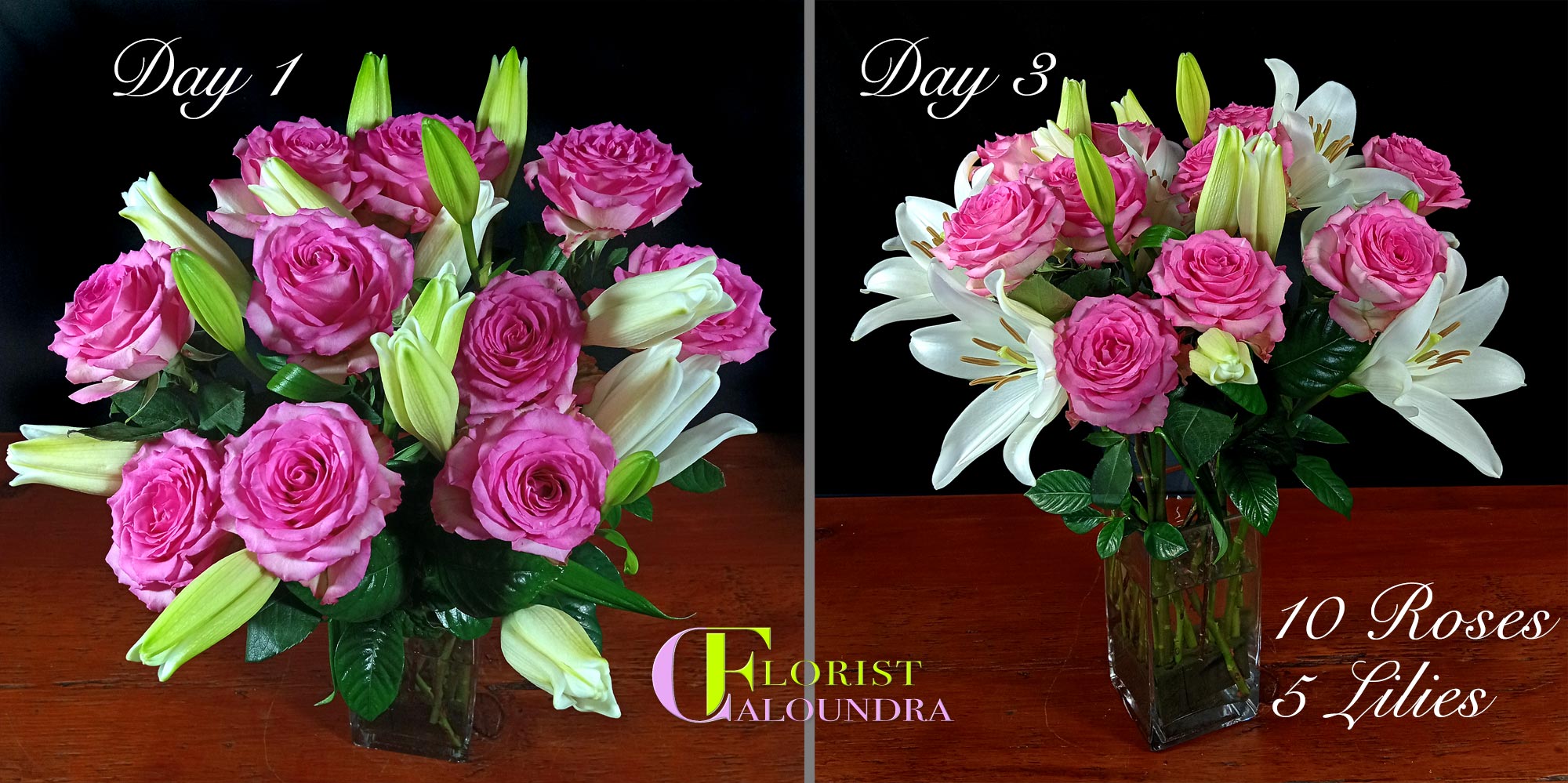 CALOUNDRA FLORIST BULK FLOWERS