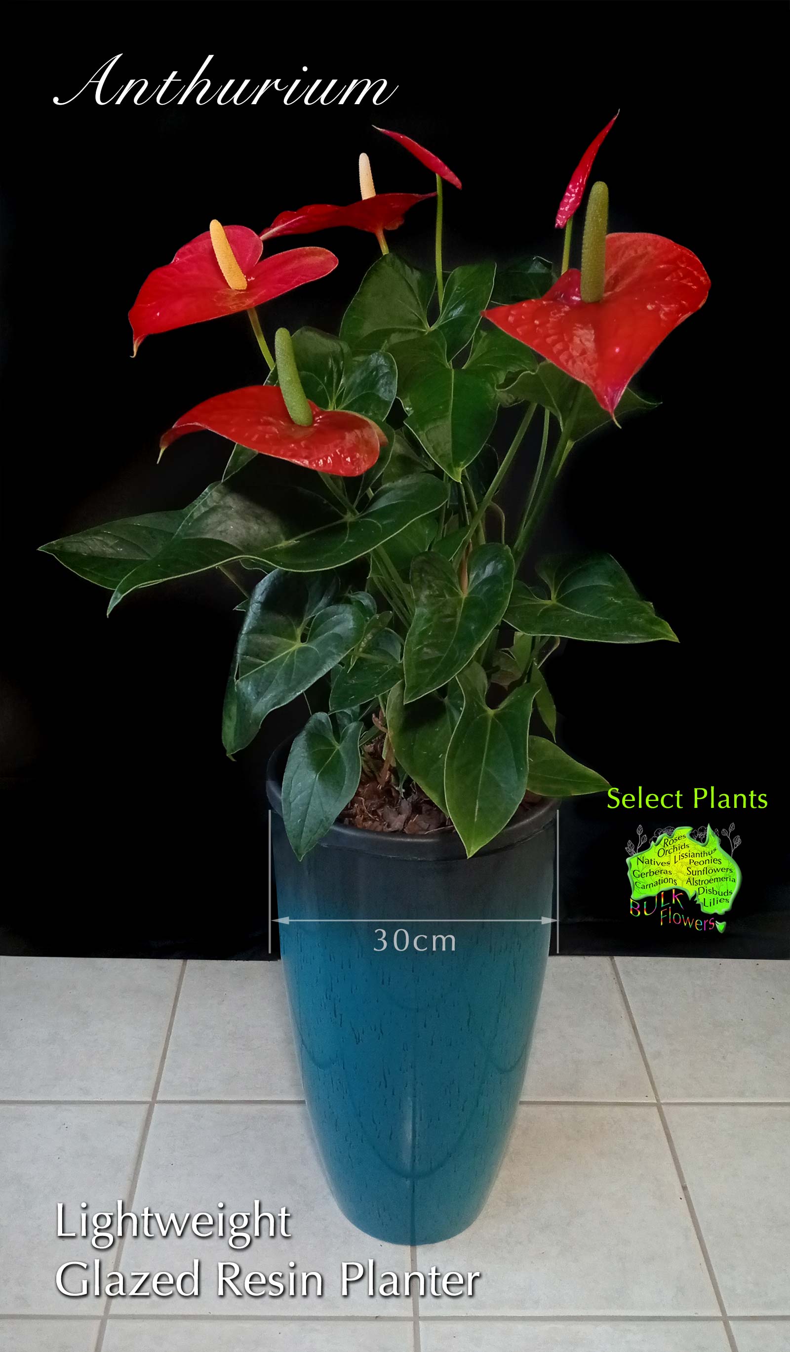 BULK FLOWERS