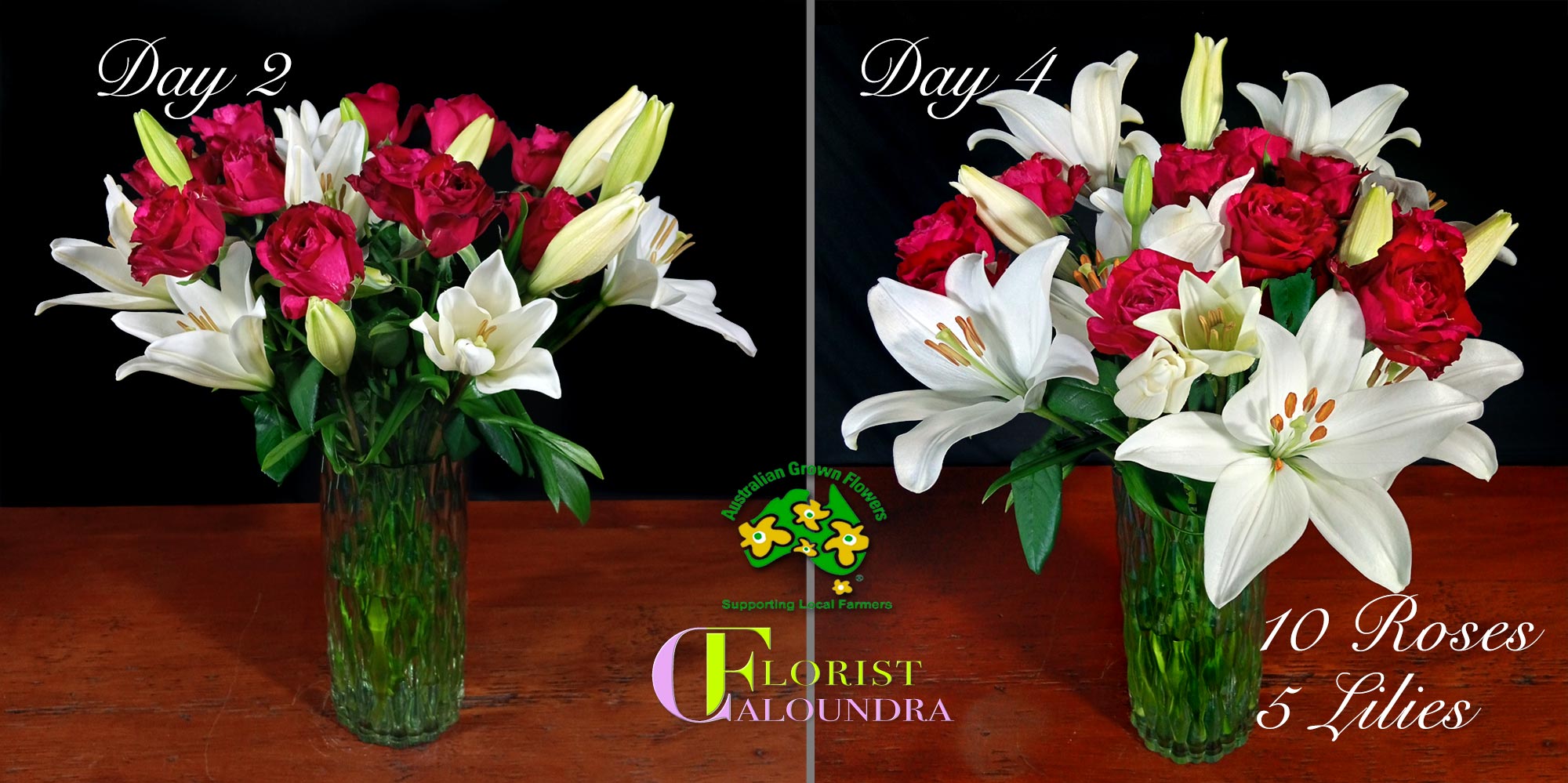 BULK FLOWERS CALOUNDRA