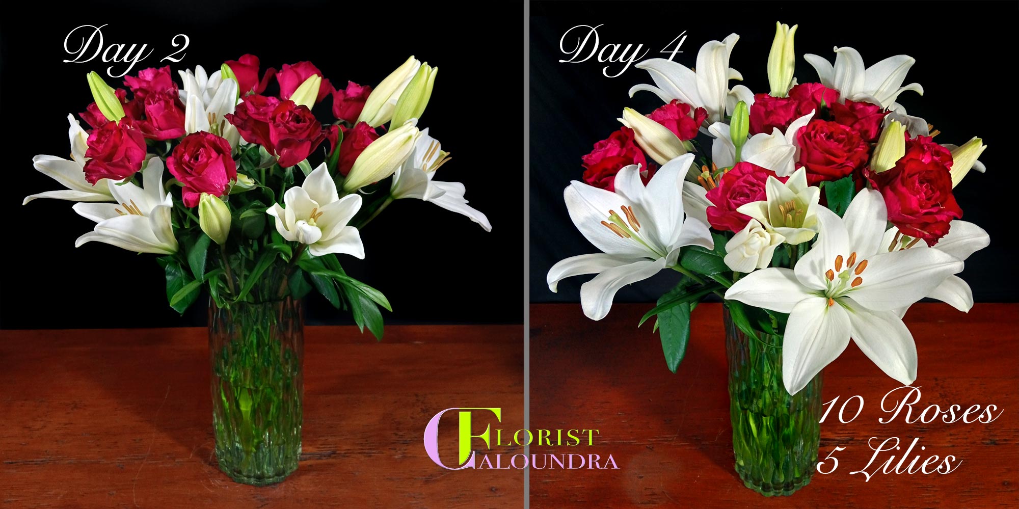 CALOUNDRA FLORIST BULK FLOWERS
