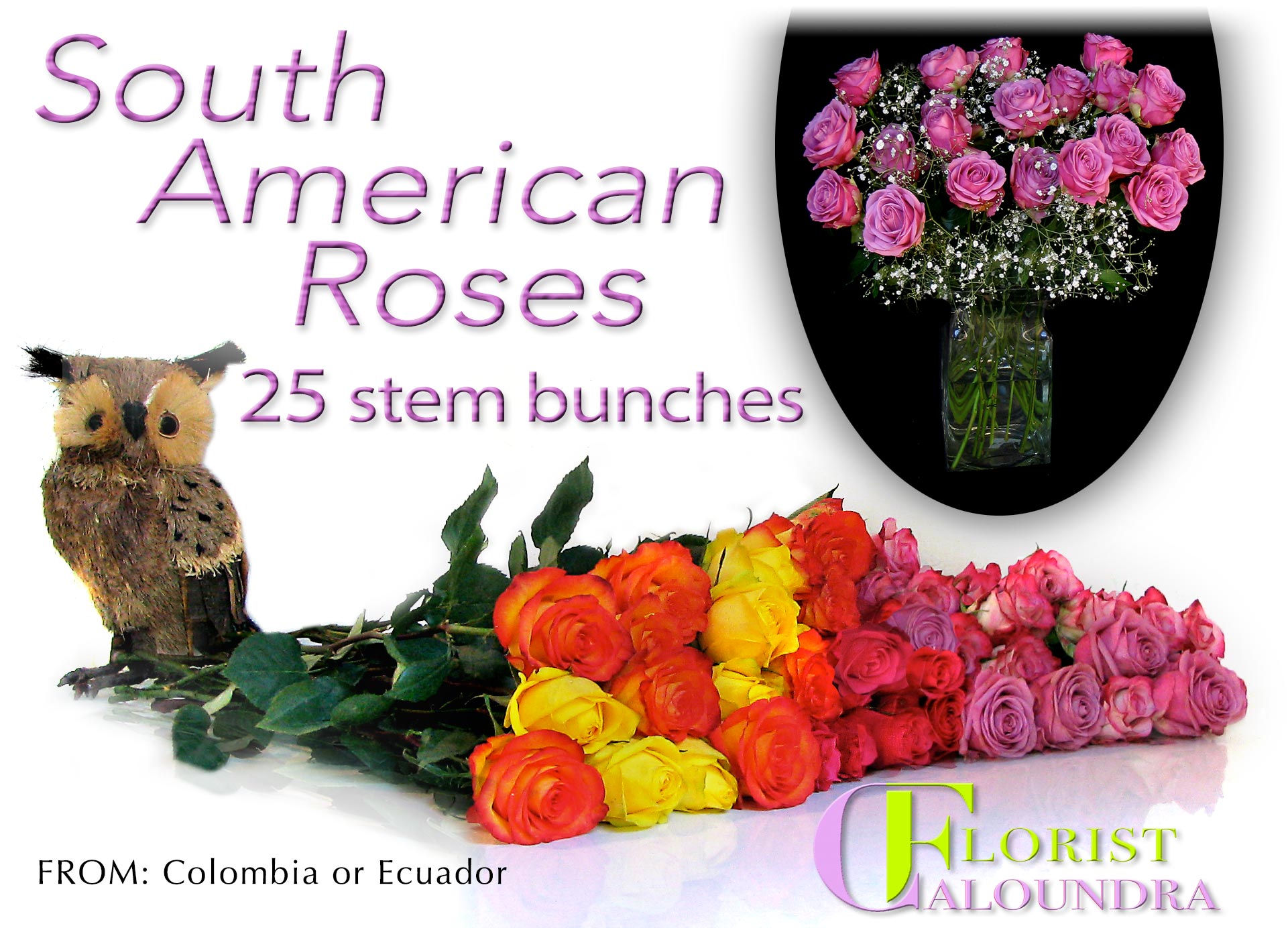 CALOUNDRA FLORIST BULK FLOWERS