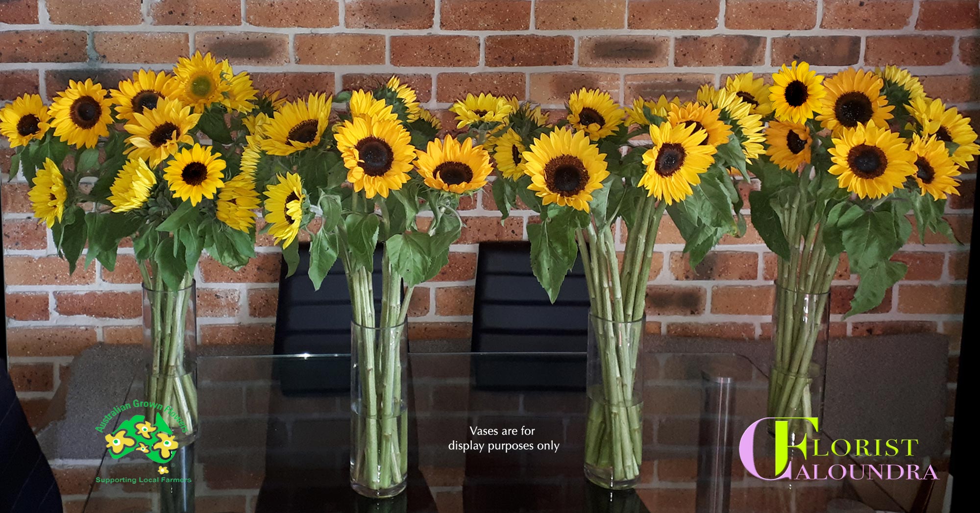 CALOUNDRA FLORIST BULK SUNFLOWERS